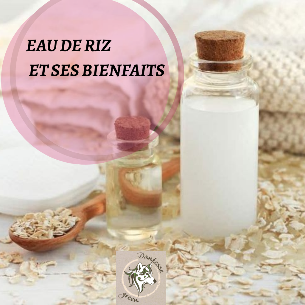 Eau De Riz Et Ses Bienfaits Site de dantessegreen