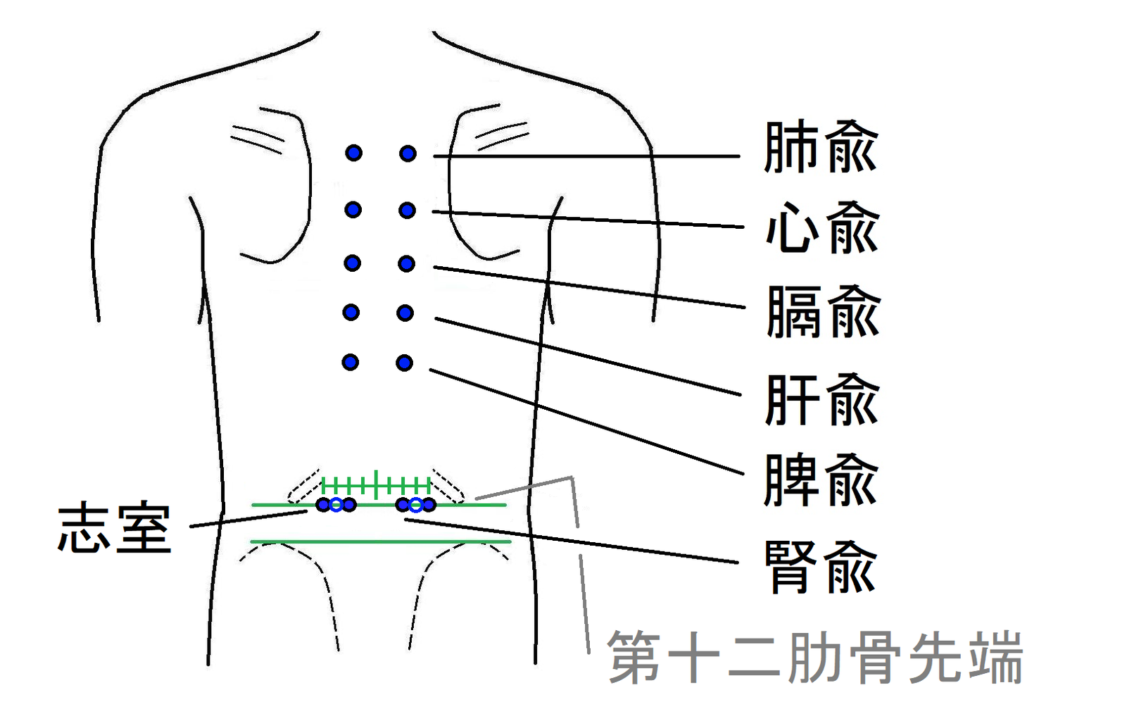 心の養生 ツボ健康療法講座！