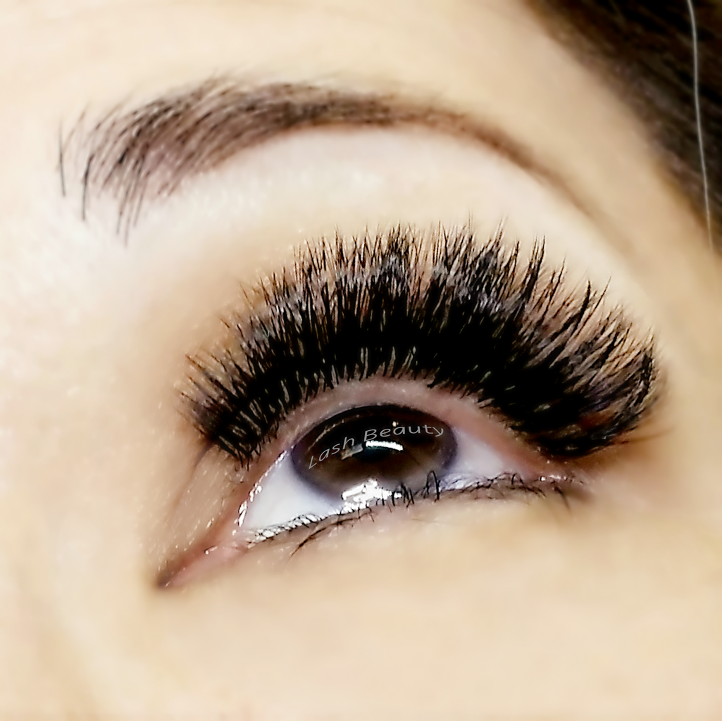 3d 4d 5d 6d Lashes They Exist Lash Beauty