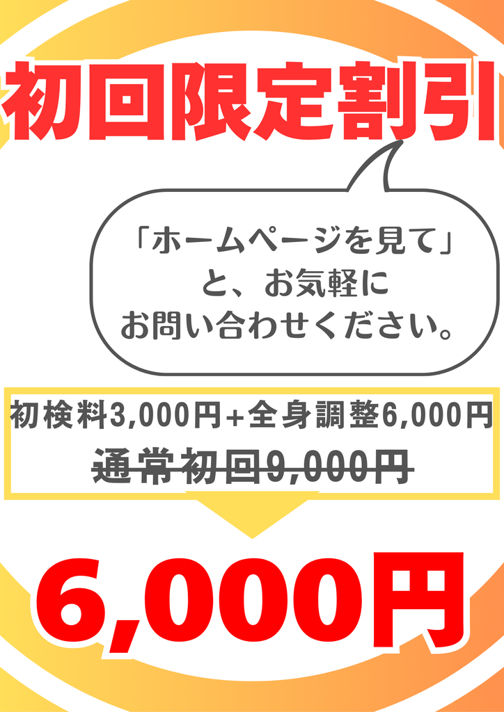 DVD症状別カイロプラクティックハンドブック 整体/接骨院/整骨院