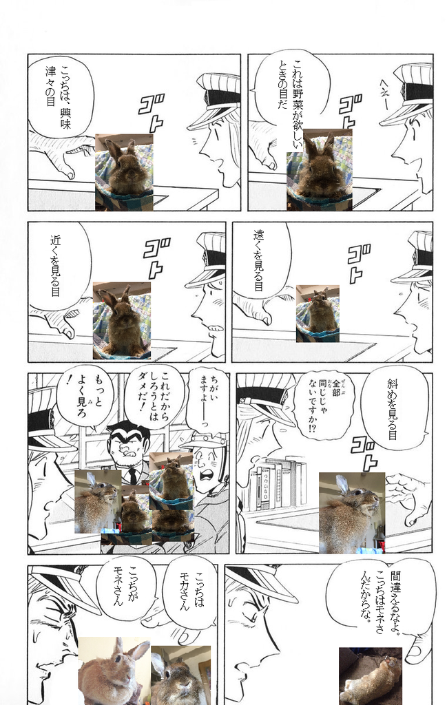 うさぎさんのこち亀 全部同じじゃないですかクソコラグランプリ うさぎ飼育の もねもかどっとねっと うさぎさんのこち亀 全部同じじゃないですかクソコラグランプリ うさぎ飼育の もねもかどっとねっと