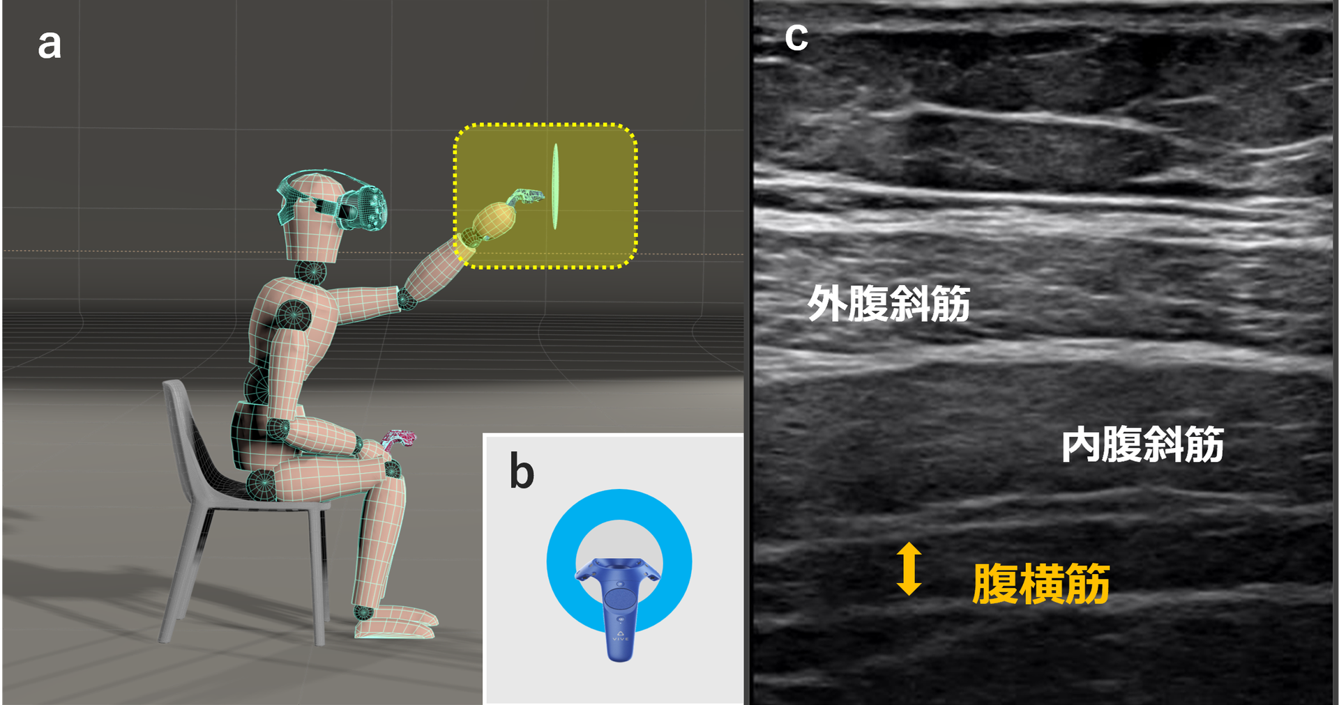 体性認知協調療法 - 一般社団法人日本臨床研究学会