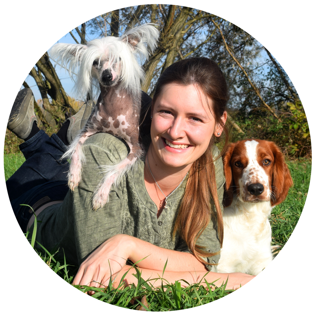 Referenzen Sarah Unterberger Animal Train