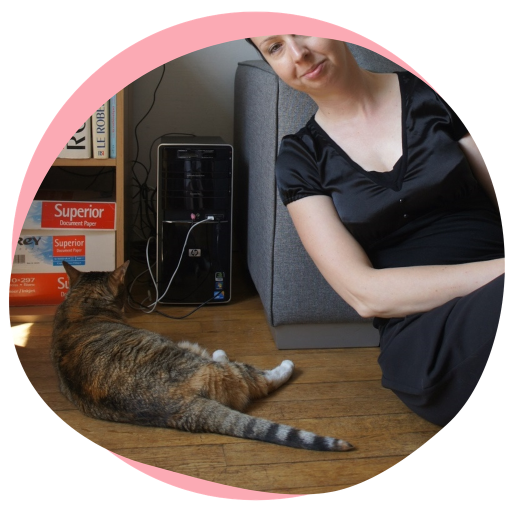 La Conciergerie des chats, garde de chat, cat sitting pour faire garder mon chat à Saint Herblain La Conciergerie des chats, garde de chat, cat sitting pour faire garder mon chat à Saint Herblain