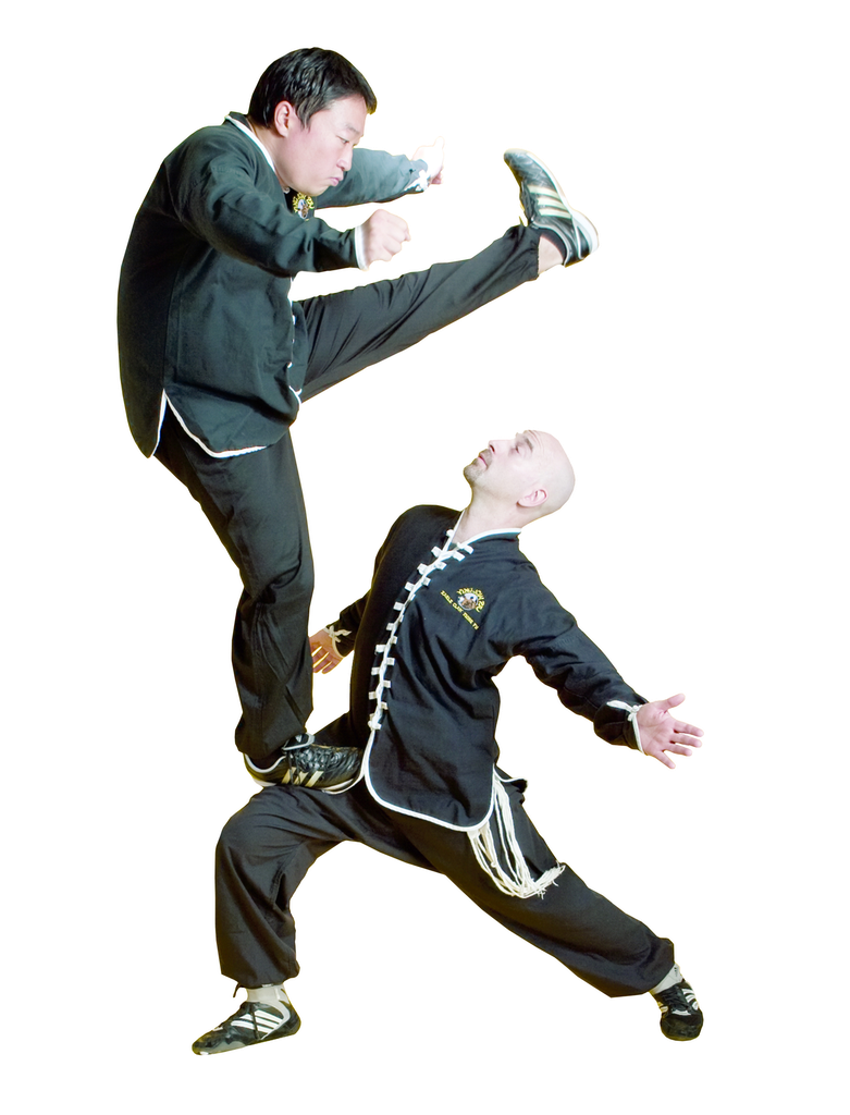 Кунг фу спарринг
