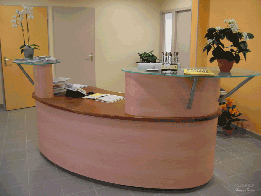 Banque d'accueil en chêne et stratifié pour une clinique vétérinaire (Chambéry, Savoie).