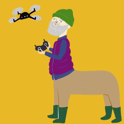 Drone taurus