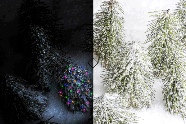 Christmas woodland scene Before and After