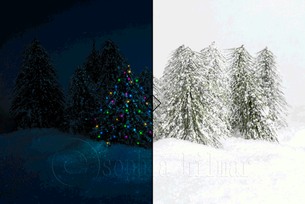 Christmas woodland scene Before and After