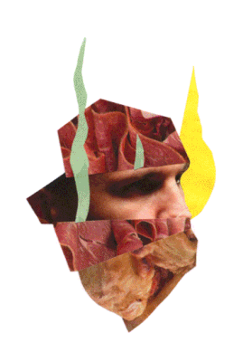 Photocollages prospectus (travail personnel).