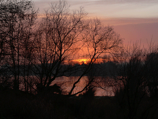 Sonnenuntergang an der Elbe