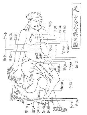 足の少陰腎経