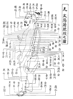 足の太陽膀胱経