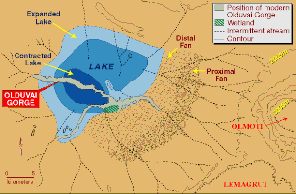 Posizione della odierna Gola di Olduvai rispetto al lago originario