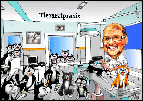 Karikaturen zeichnen lassen - 