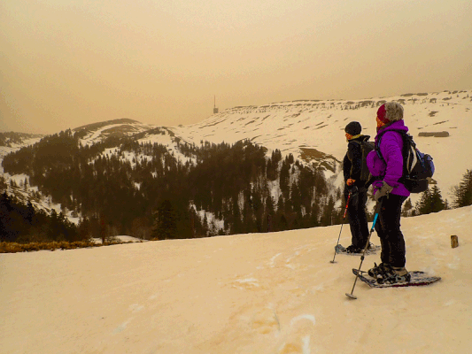 Saharastaub auf dem Chasseral