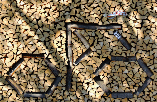 Foto: Wildbrenner