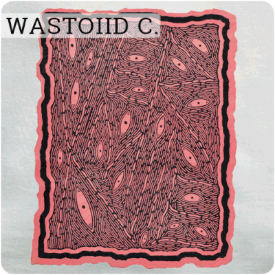 WASTOIID Couleur