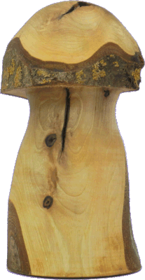 Pilz 9: Nußbaum, Ø: 120mm, H: 240mm