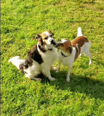 Mama Bonita und Leia 😘