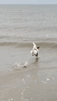 erstes mal im Meer 😲😄