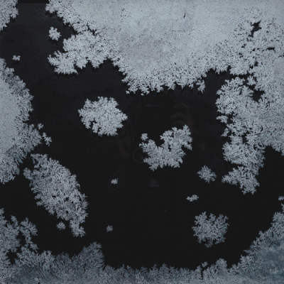 Marianne Lang Permafrost