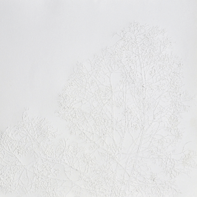 Marianne Lang Natural Cover