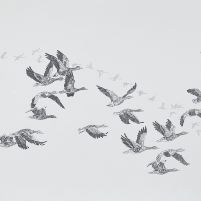 Marianne Lang Fluglinien