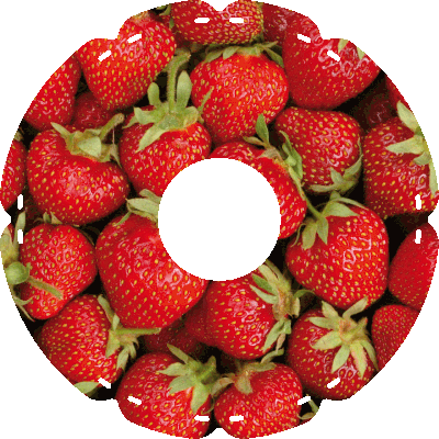 0637 Erdbeeren