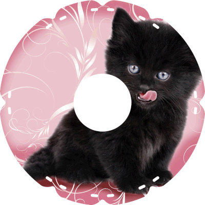 2014 Katzenzunge