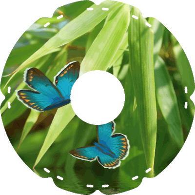 0549 Schmetterlinge blau
