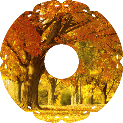 0443 Herbst