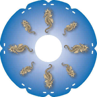 1786 Seepferdchen