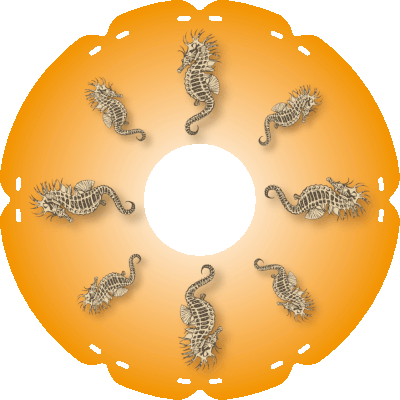 1789 Seepferdchen orange
