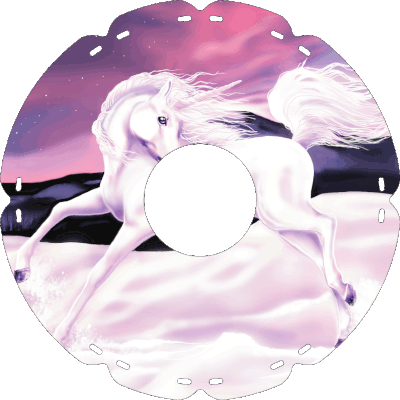 0689 Einhorn im Wind