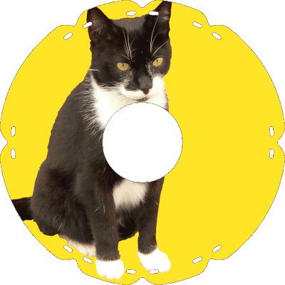 1045 Kater Tom
