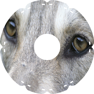 0950 Hundeaugen