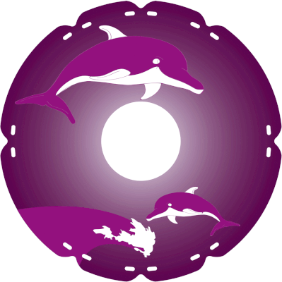 0306 Delphin Violett