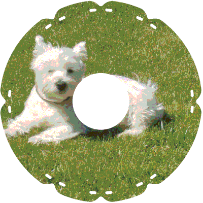 0302 Highland Terrier