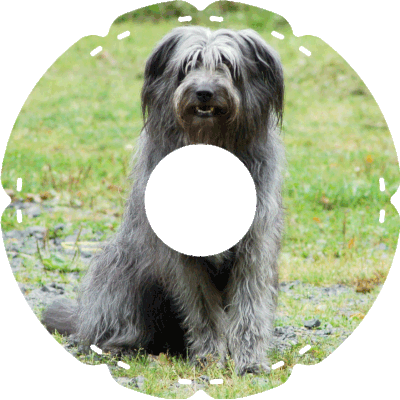1071 Bobtail