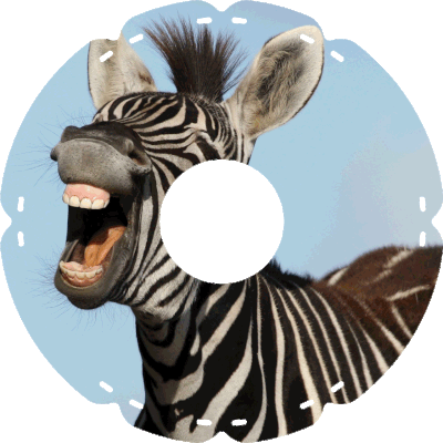 0413 Zebrafrisur