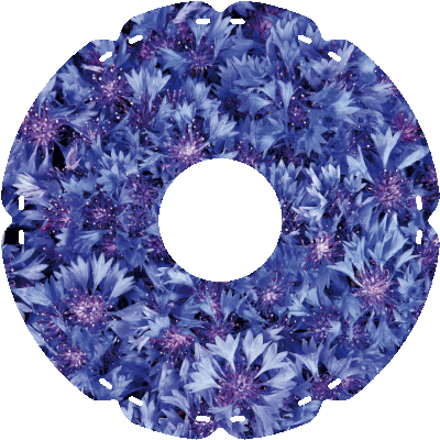 1014 Kornblumen