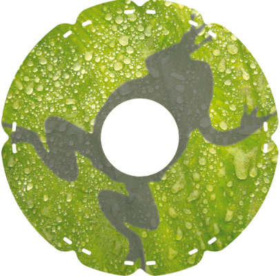0626 Frosch