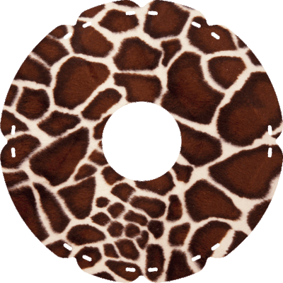 0702 Giraffe