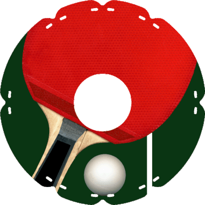 0456 Tischtennisball