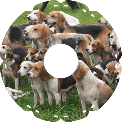 1505 Jagdhunde