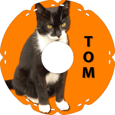 1045 Kater Tom