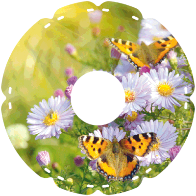 0629 Schmetterling gelb