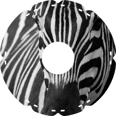 0614 Zebra