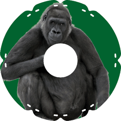 0410 Gorilla